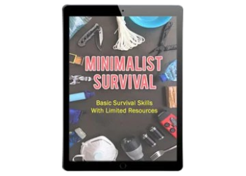 Minimalist Survival